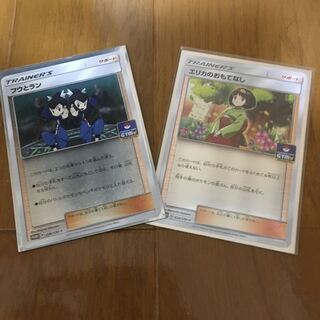 フウとラン、エリカプロモセット