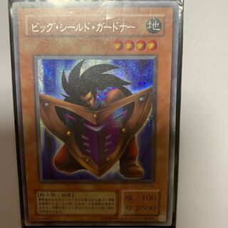 ビックシールドガードナー