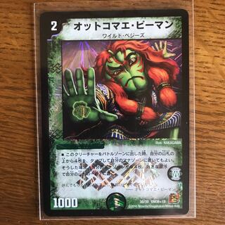 あに　専用　オットコマエ・ピーマン　VR