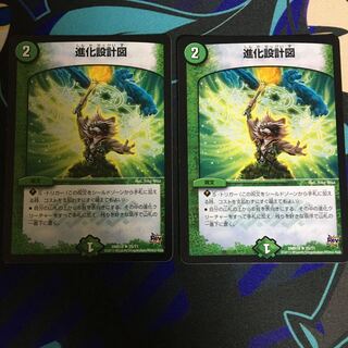 evolutionary blueprint