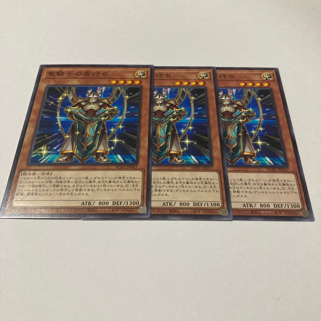 Noble Knight's Shield-Bearer Normal