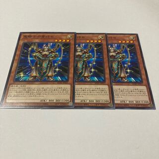 Noble Knight's Shield-Bearer Normal