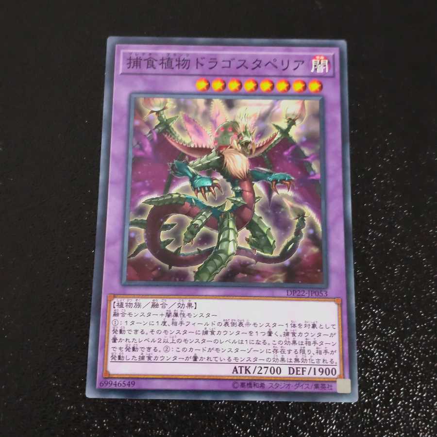 Predaplant Dragostapelia Normal [Mokurindo