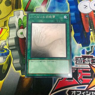 Harpie's Feather Duster holographic rare