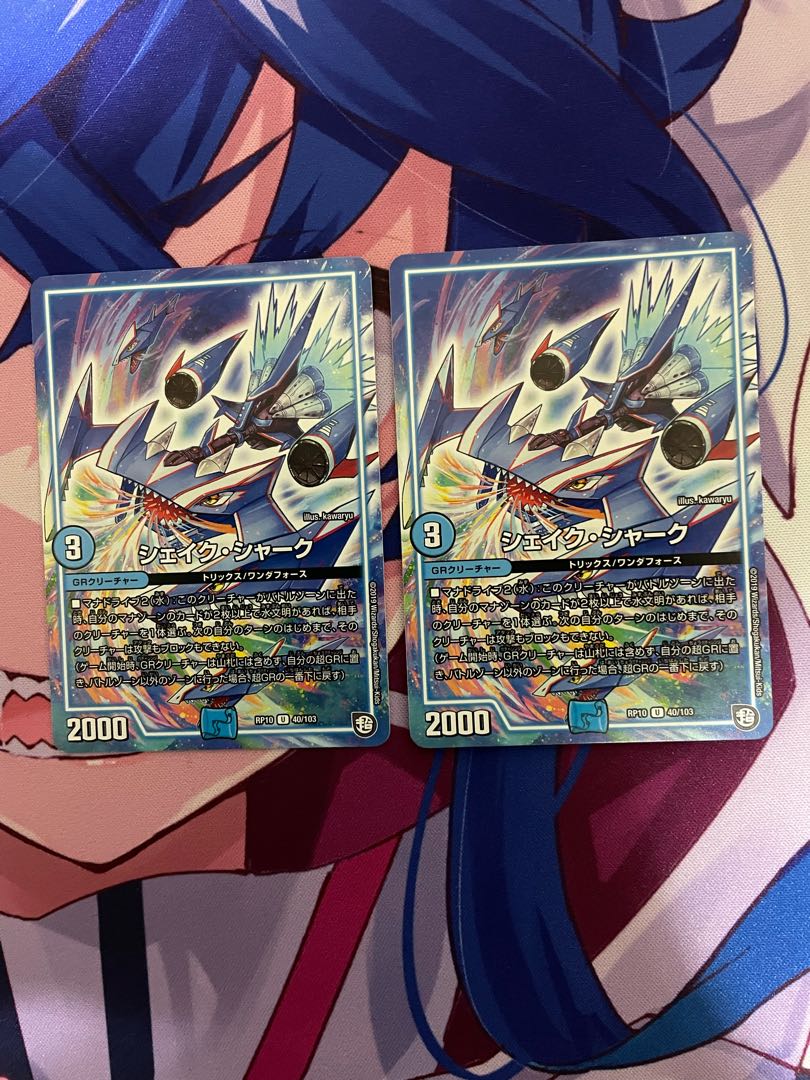 sheikh shark (Carcharhinus leucas)