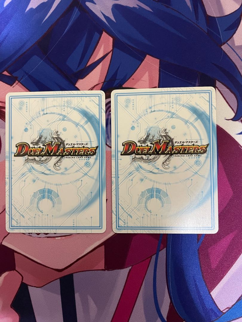 sheikh shark (Carcharhinus leucas)