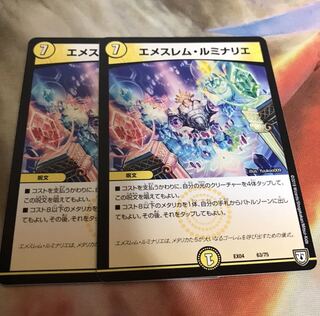 エメスレムルミナリエ2枚