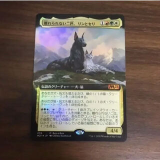 MTG Rin and Seri, Inseparable expansion foil