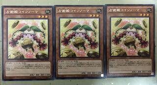占術姫コインノーマ 3枚
