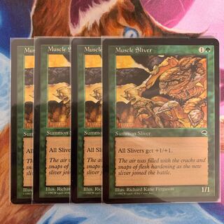 筋肉スリヴァー　英語　4枚