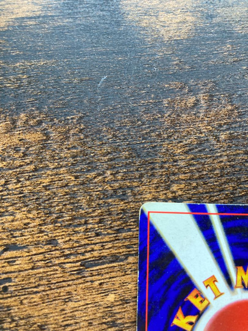 Nintendo 64 Limited Cool Porygon & Kui Kushinbo Snorlax