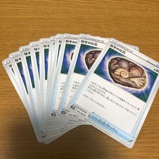 なぞの化石　10枚