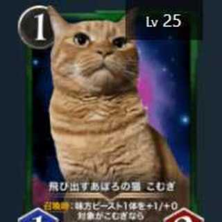 飛び出すアポロの猫こむぎ