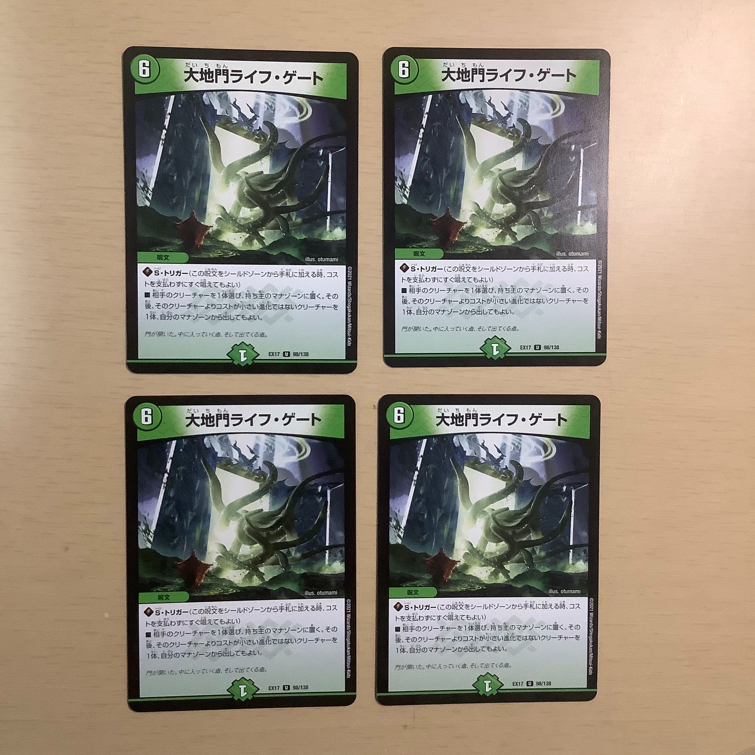 Large Gate Life Gate