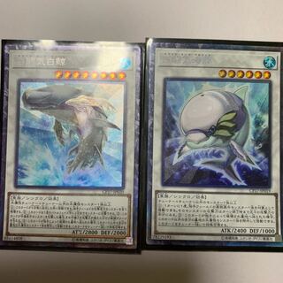 白闘気海豚、白闘気白鯨