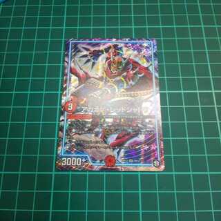 [最安値]アカカゲ・レッドシャドウ