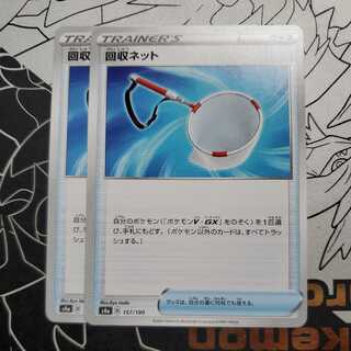 Scoop Up Net Set of 2