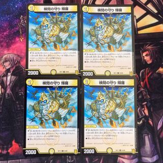 The Forceful Checkpoint's Protection Terra