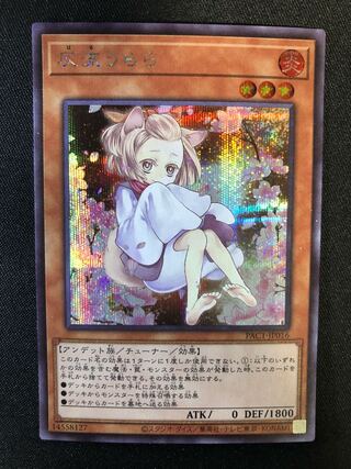 灰流うらら　SE