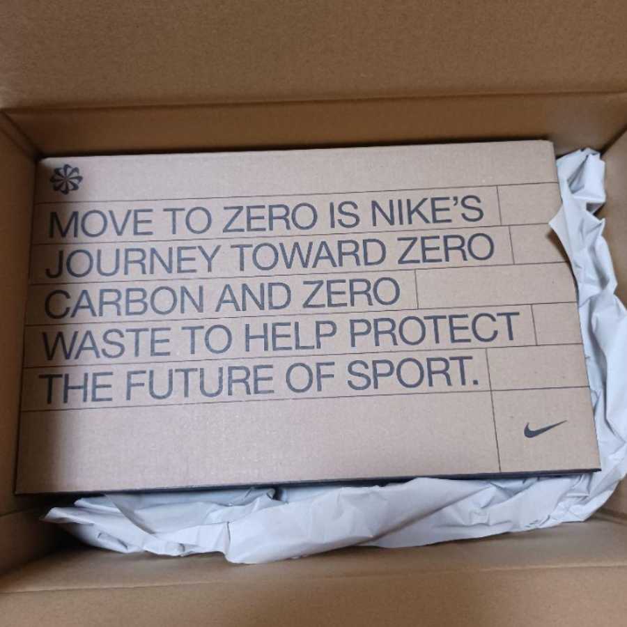 Nike WMNS Dunk Low Disrupt 2 Hyper Royal 26.5cm