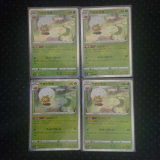 ワタシラガ4枚セット