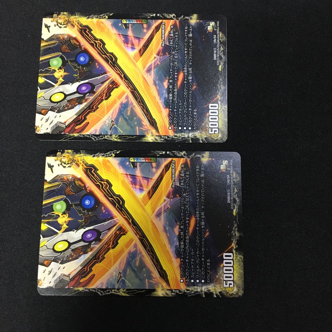 Ryukonjokaku Reduru｜Kyokushin Ryukon All Over the World (bottom)