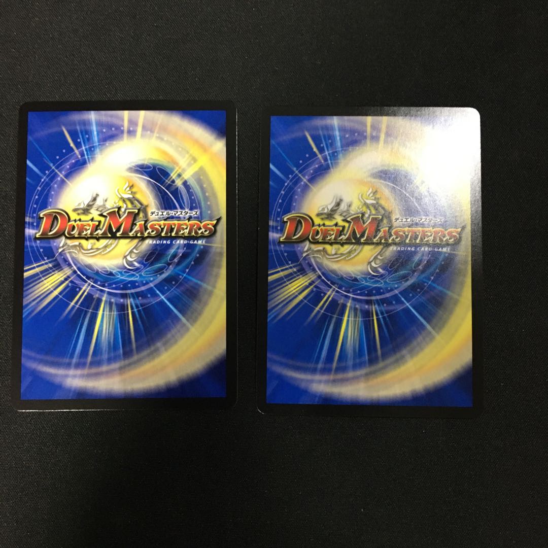 Knight of the Shield of the Absolute."