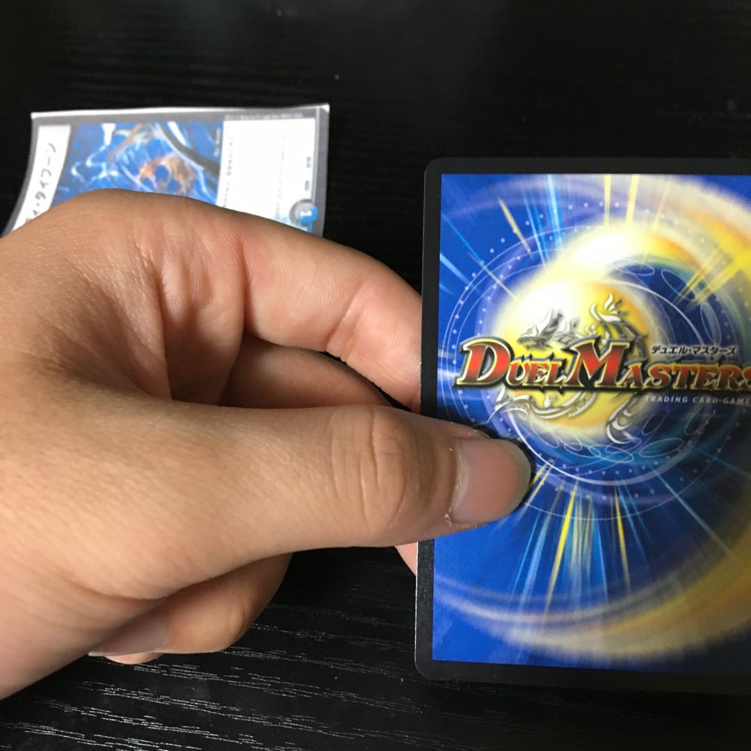 Knight of the Shield of the Absolute."