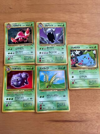 フシギダネ、ストライク、マタドガス、ゴルバット、パラセクト　旧裏5枚