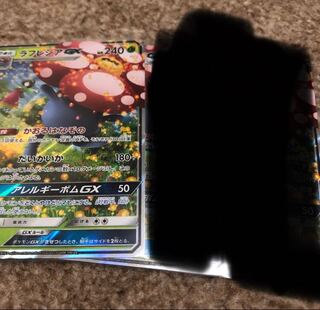 ラフレシアGX 003/049 rr 1枚