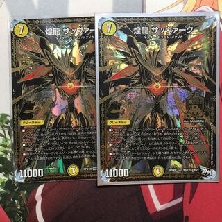 煌龍 サッヴァーク シク3 2枚