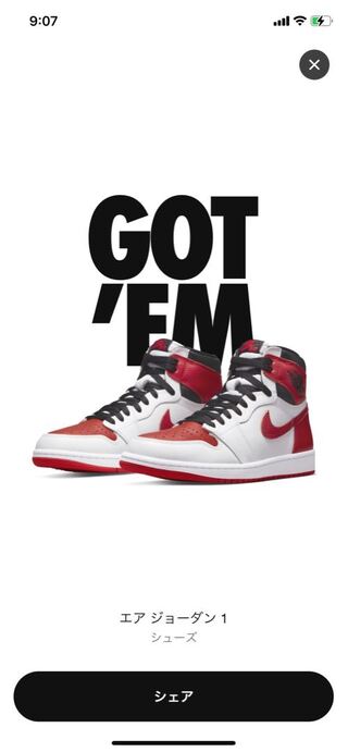 NIKE air jordan 1 high og 30.5cm