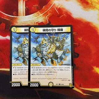 The Forceful Checkpoint's Protection Terra