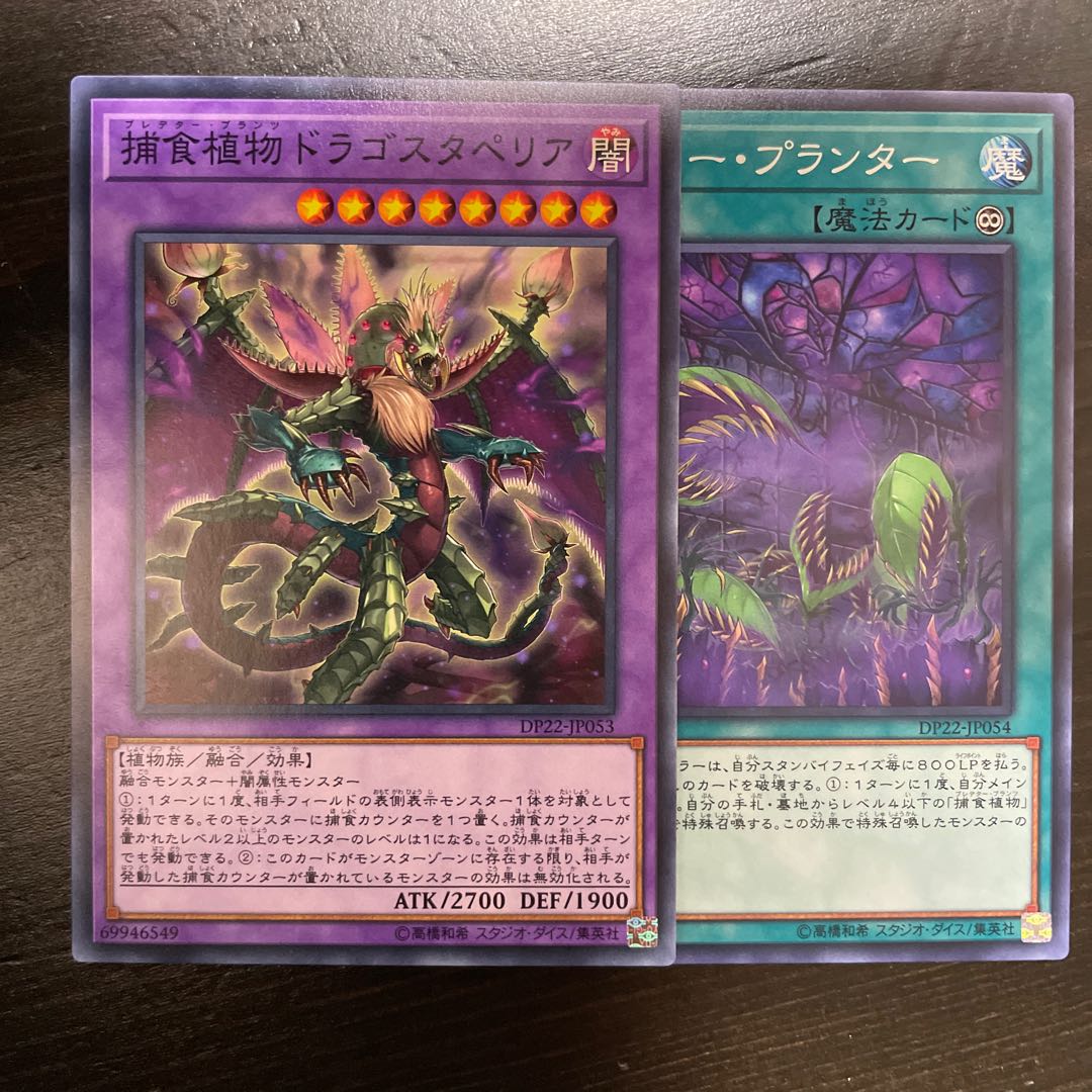 Predaplant Dragostapelia Normal