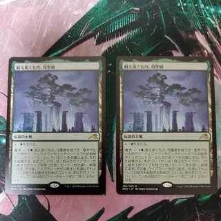 What Endures, Mother Sacred Tree, set of 2