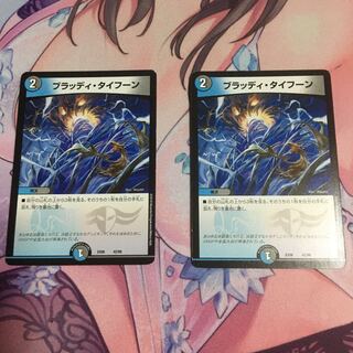 ブラッディ・タイフーン 2枚