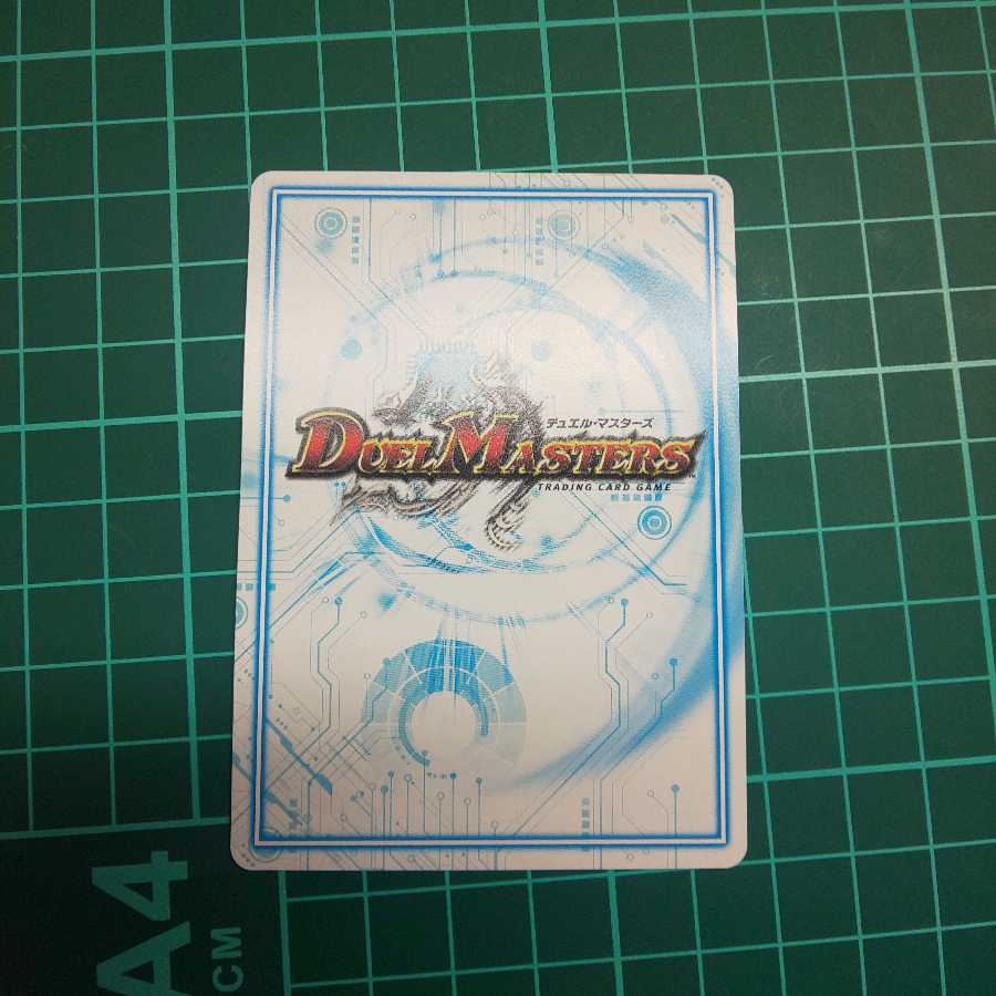 [最安値]煌銀河 サヴァクティス シク