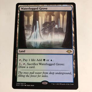 Waterlogged Grove/Waterlogged Grove English