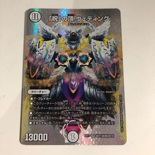 The "Celebration" Summit Wedding