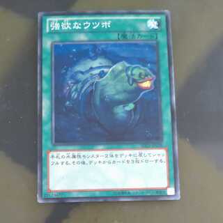 Moray of Greed JP028 [Korindo].