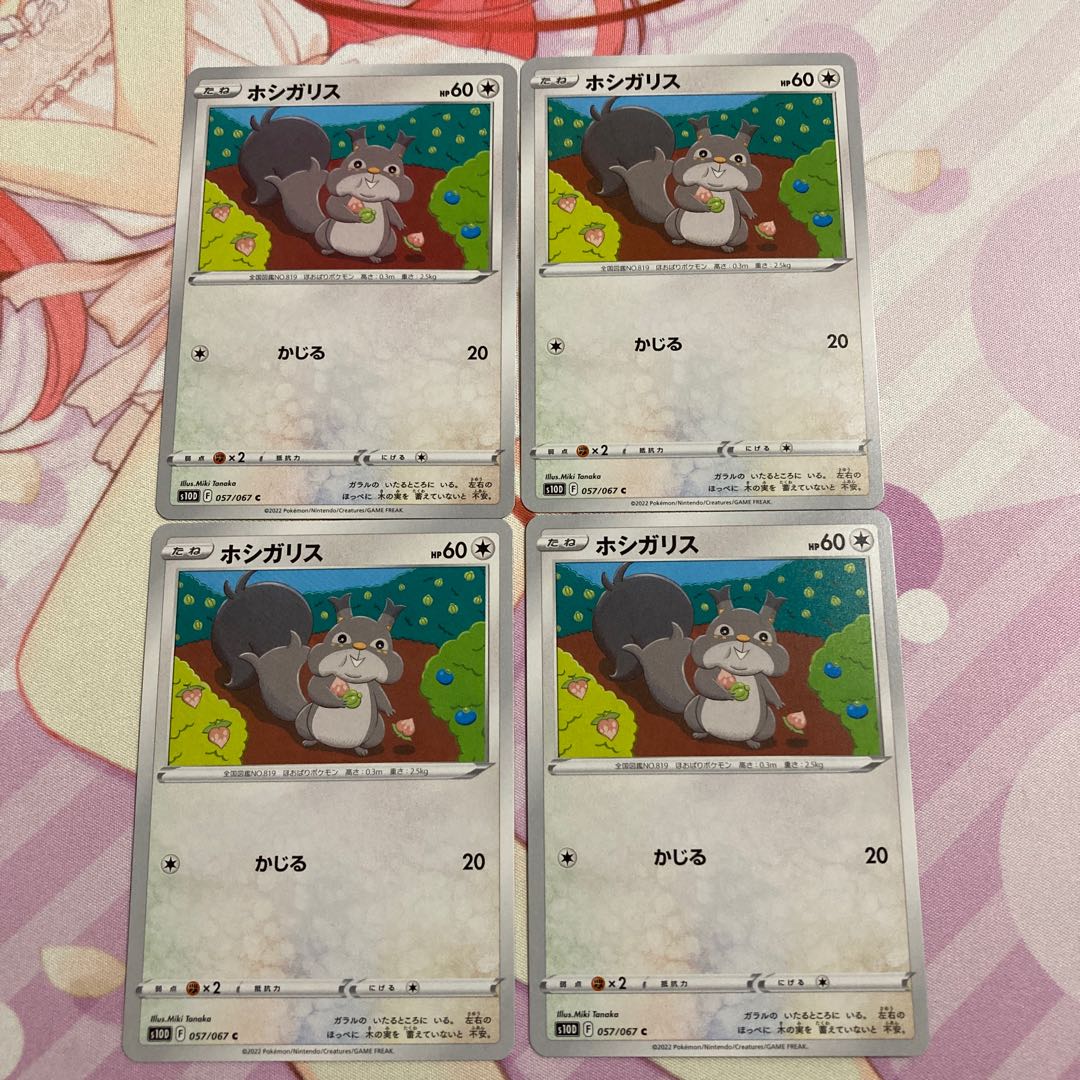 ホシガリス C 4枚