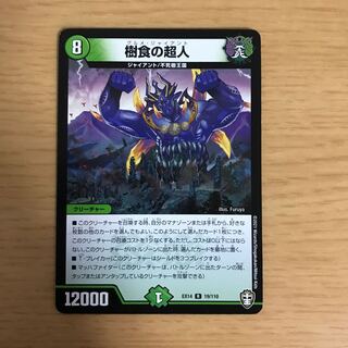 Psychic person of tree food