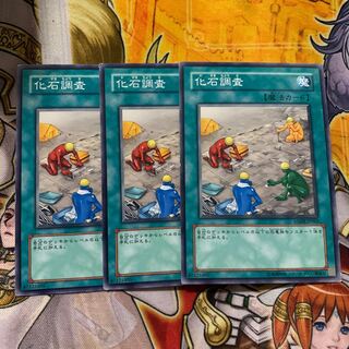 化石調査 ノーマル