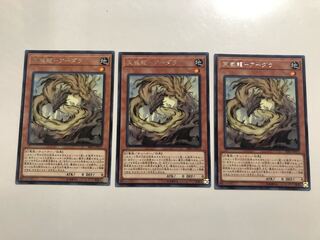 RIRA-JP012 Tenyi Spirit - Adhara 3 copies