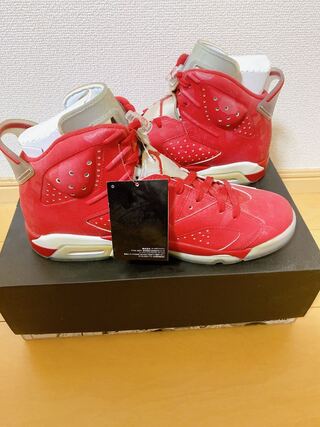 Air Jordan 6 Slam Dunk 29cm 29cm