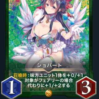 ショパート×１枚（スピ有）