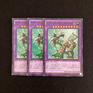 n67 Naturia Exterio Super Rare 3 cards Yu-Gi-Oh!