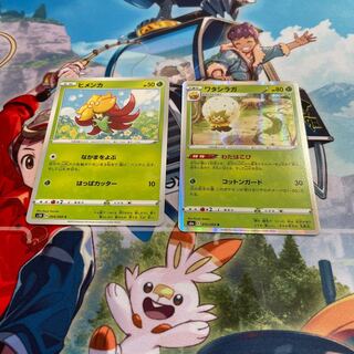 ヒメンカ　ワタシラガ　わたはこび