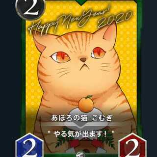 Apolo's cat, Komugi