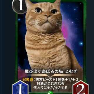 Apollo's cat KOMUGI popping up